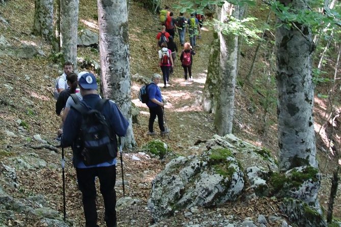 Hiking on Faito Mountain From Sorrento - Feedback on the Tour Guide