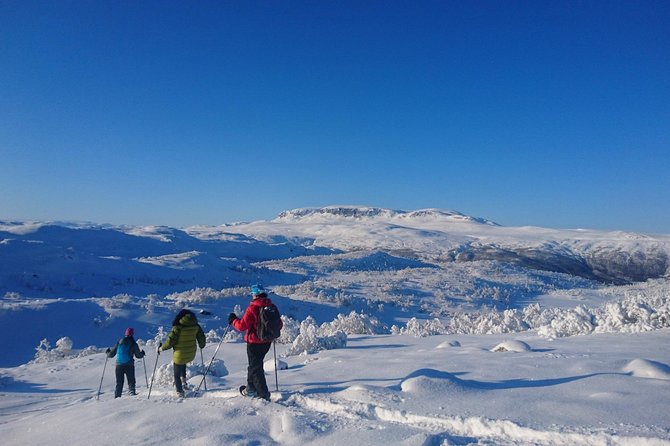 Hiking on Snowshoes - Key Points