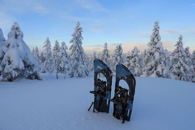 Hiking on Snowshoes - Selecting the Route