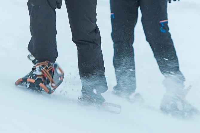 Hiking on Snowshoes - Safety Precautions