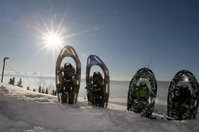 Hiking on Snowshoes - Group Dynamics