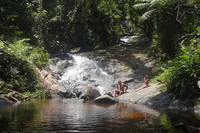 Hiking on the Cantareira Park - Discovering Local Flora and Fauna