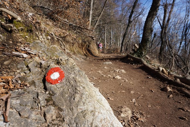 Hiking on the Edge of Ljubljana - The Local Guides Insider Tips