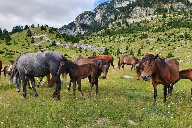 Hiking Prenj, Velika Kapa - Booking and Pricing
