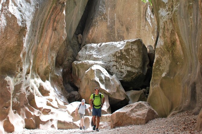 Hiking Private Tour in Pollensa - Booking Information