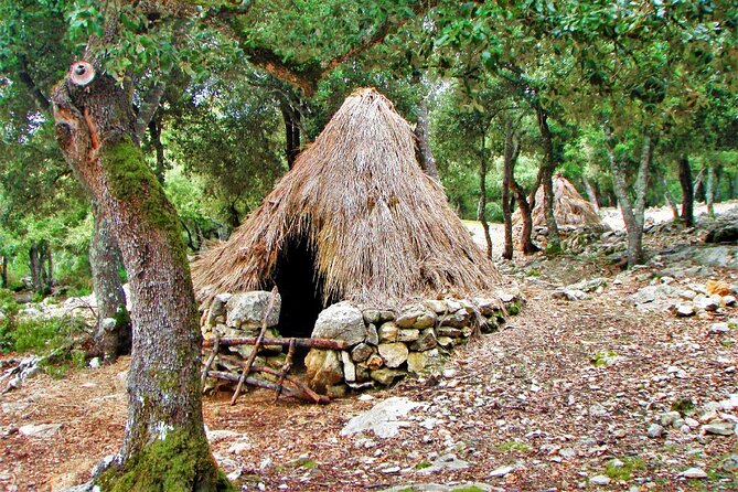 Hiking Private Tour in Pollensa - Landscapes and Legends