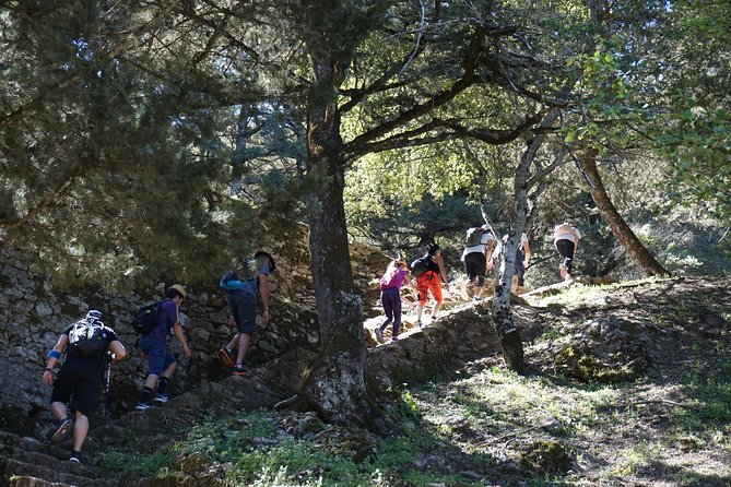 Hiking Profitis Ilias Mountain - Pick up Service Available - Expert Guides and Feedback