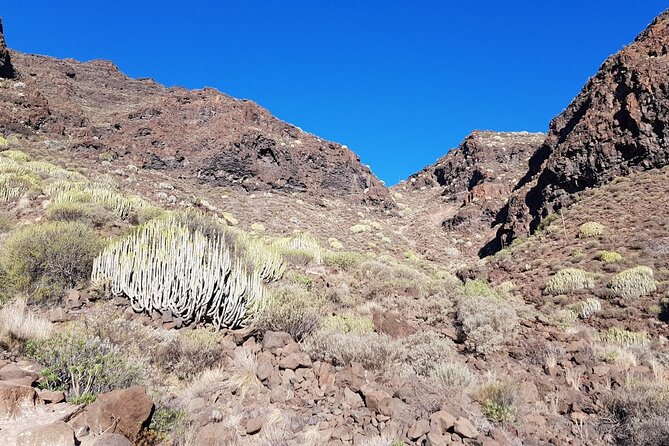 Hiking Route to Guguy or Guigui Beach - Booking and Confirmation Process