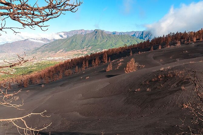 Hiking Route Visit to the New Volcano of La Palma - Participant Reviews and Ratings