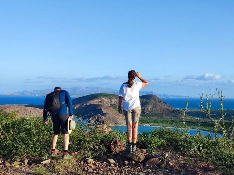 HIKING SLOOP - Pricing and Availability