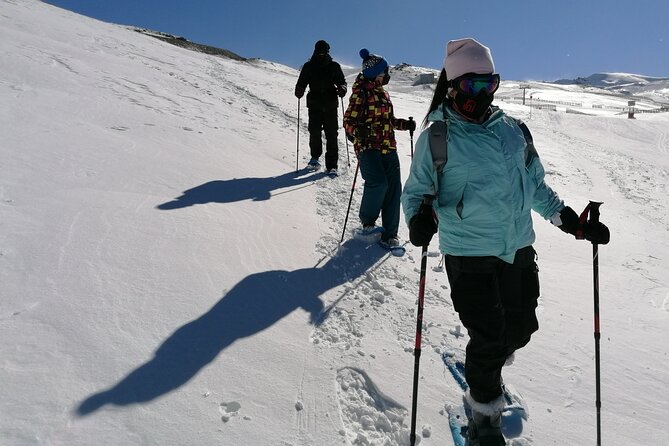 Hiking Snowshoeing in the Sierra Nevada Park, Granada - Inclusions and What to Bring