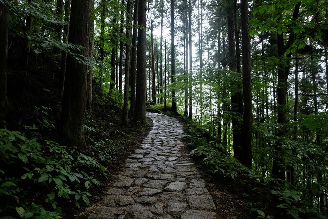 Hiking the Historic Nakasendo Trail- 1 Day Tour From Nagoya - Participant Reviews and Ratings