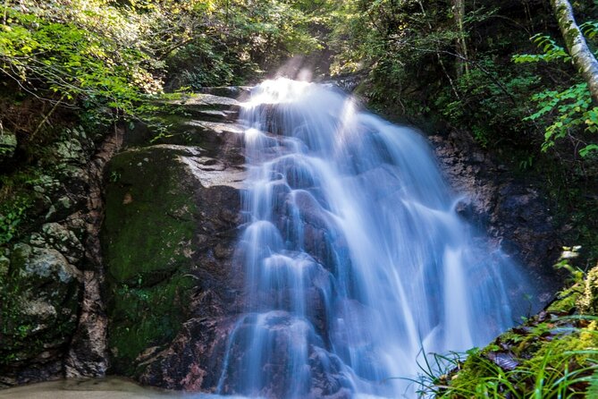 Hiking the Historic Nakasendo Trail- 1 Day Tour From Nagoya - What to Expect on the Hike
