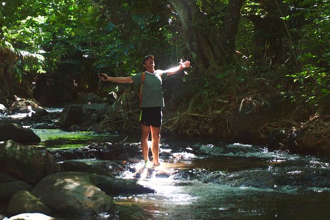 Hiking - The Wild South - Discovering Virgin Forests and Beaches