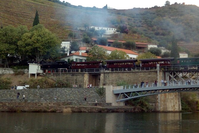 Hiking Through Douro Valley Wine Region - Immersive Wine Country Experience