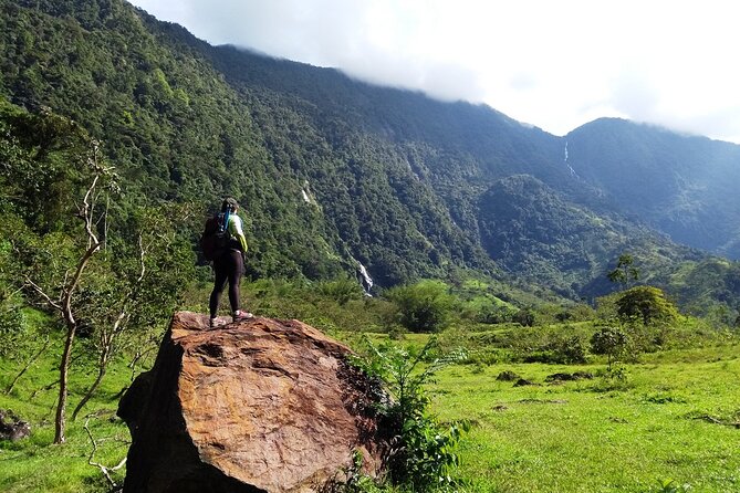 Hiking Through the Valley of the Waterfalls and St Domingo River - Traveler Testimonials and Ratings