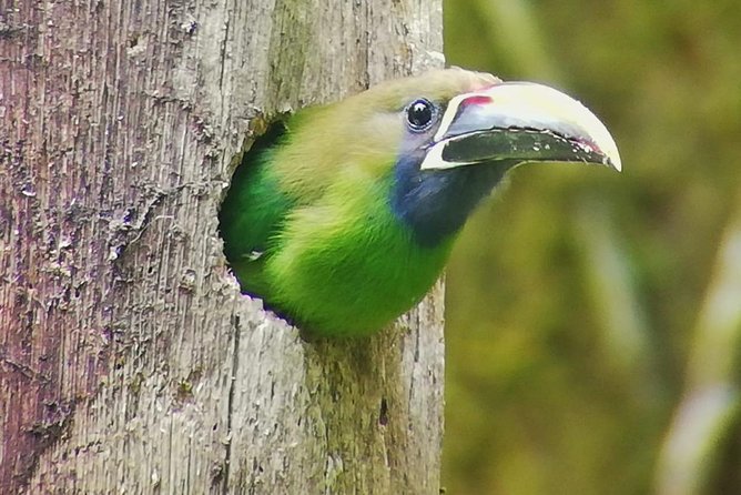 Hiking to Curi-Cancha Reserve - Pricing and Cancellation Policy