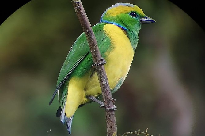 Hiking to Curi-Cancha Reserve - Confirmation and Additional Tips