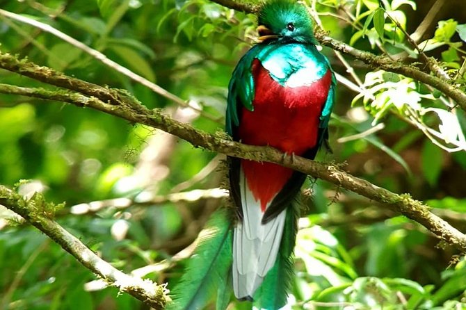 Hiking to Curi-Cancha Reserve - Sustainable Wildlife Viewing