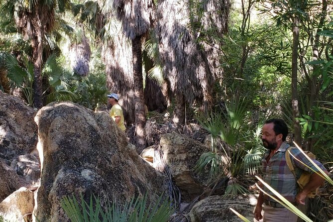 Hiking to Desert Palm Oases of San Carlos With a Biologist - Traveler Testimonials and Recommendations