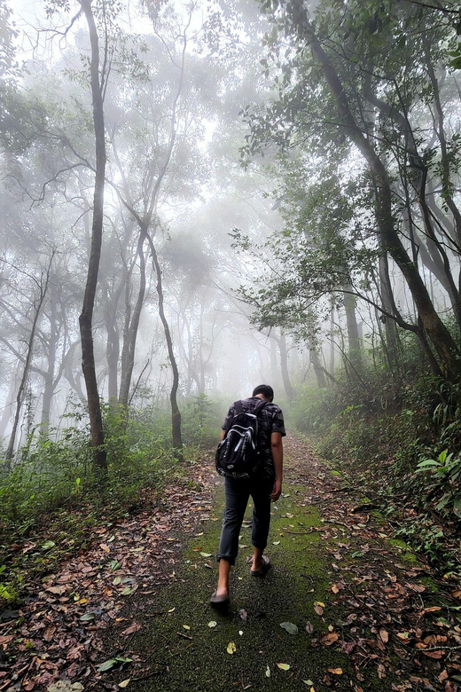 Hiking to Doi Suthep Peak & Delectable Cuisine & Wat Pha Lat. - Key Points