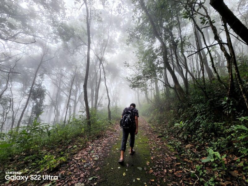 Hiking to Doi Suthep Peak & Delectable Cuisine & Wat Pha Lat. - Pickup and Drop-off