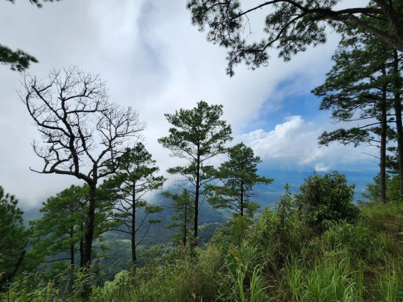 Hiking to Doi Suthep Peak & Delectable Cuisine & Wat Pha Lat. - Mountaintop Lunch Experience