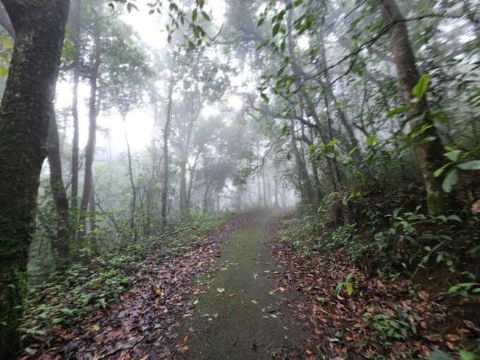 Hiking to Doi Suthep Peak & Delectable Cuisine & Wat Pha Lat. - Visiting Wat Pha Lat