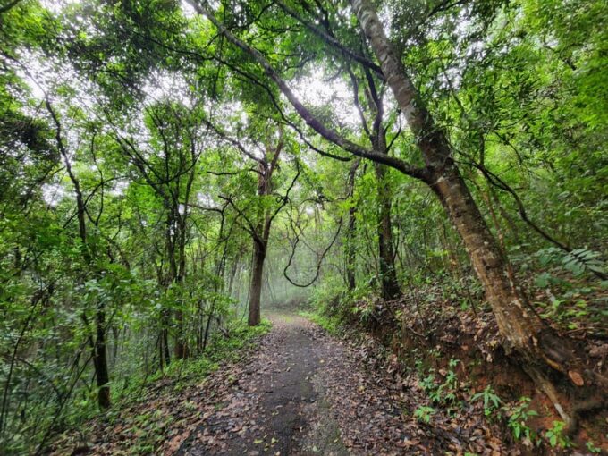 Hiking to Doi Suthep Peak & Delectable Cuisine & Wat Pha Lat. - Frequently Asked Questions