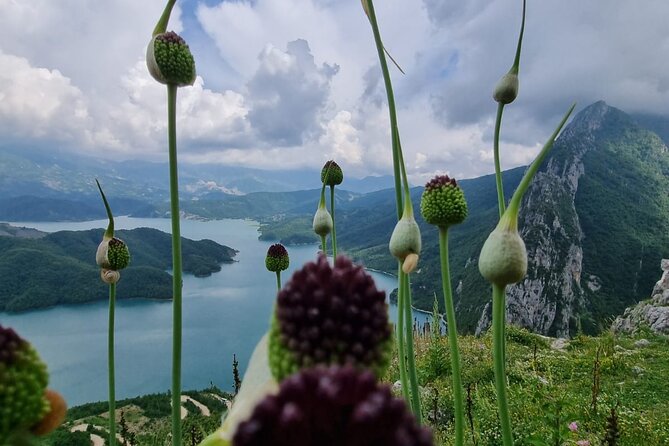 Hiking to Gamti, Bovilla Lake and Kruja Day Trip From Tirana - Guest Testimonials