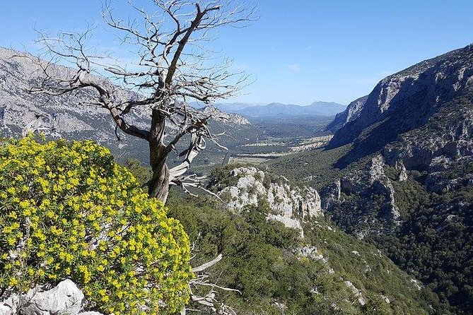 Hiking to Monte Tiscali - Oliena - Group Size and Fitness Level