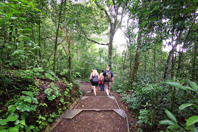 Hiking to the Rincon De La Vieja Volcano National Park Private Tour - Hiking Experience