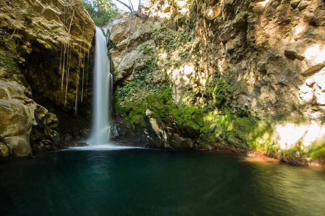 Hiking to the Rincon De La Vieja Volcano National Park Private Tour - La Oropendola Waterfall