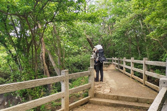 Hiking to the Rincon De La Vieja Volcano National Park Private Tour - Recommended Items
