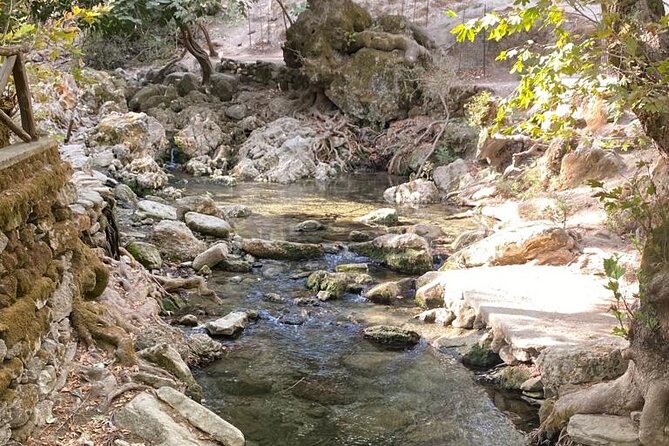 Hiking to the Seven Springs Between Olive Groves and Vegetation From Archangelos - Activity Details