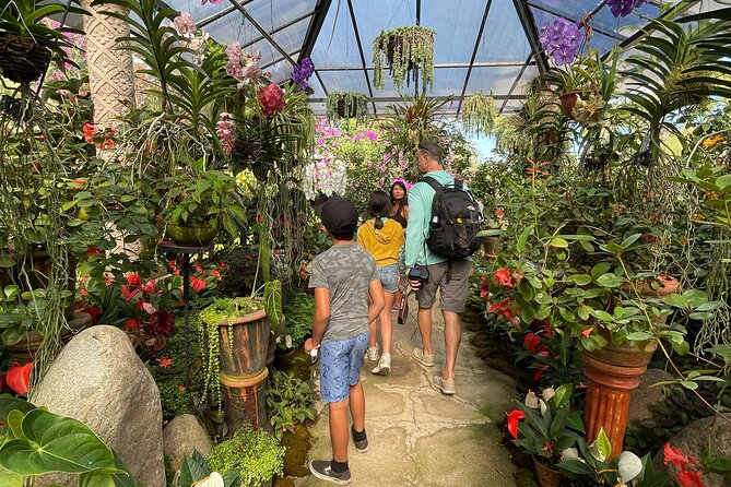 Hiking to Vallarta Botanical Garden. - Botanical Garden Highlights