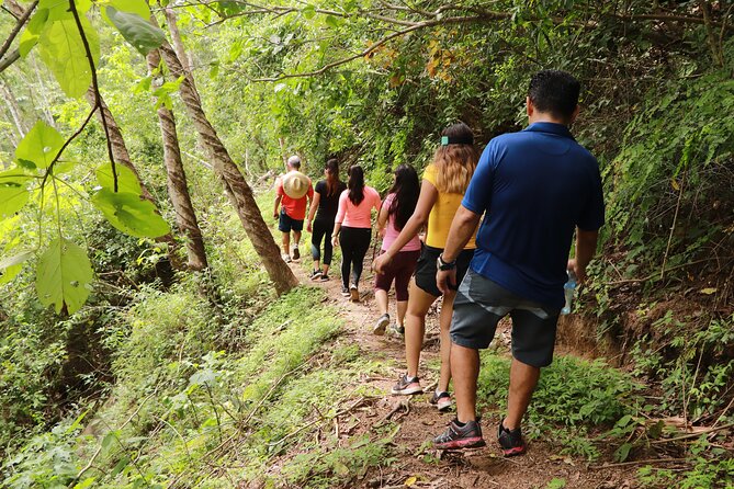 Hiking to Vallarta Botanical Garden. - Tequila Tasting and Activities