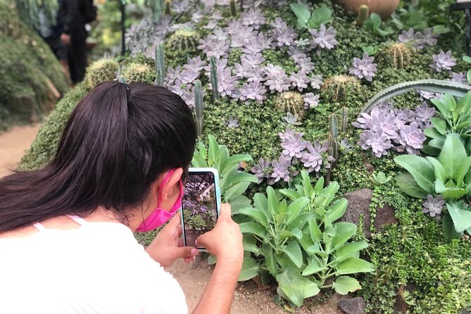 Hiking to Vallarta Botanical Garden. - Customer Feedback and Reviews