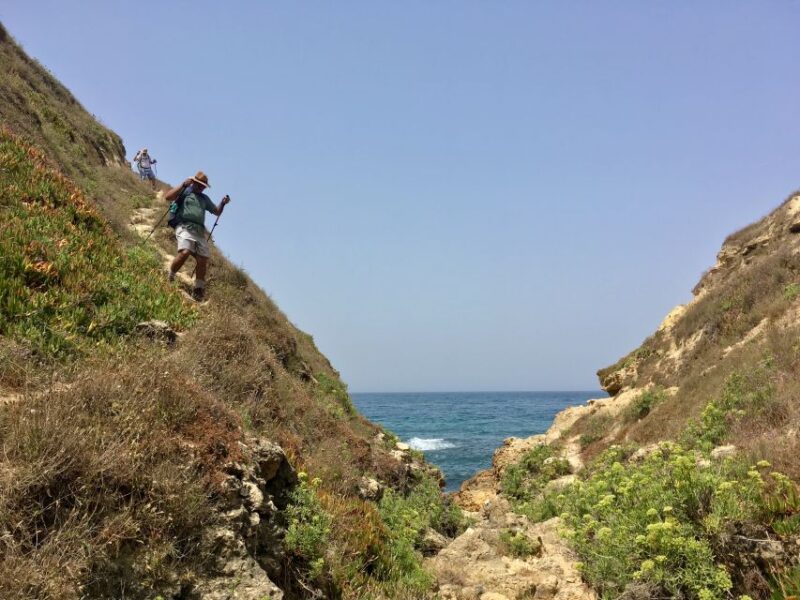 Hiking Tour Along the West Coastline - Activity Details