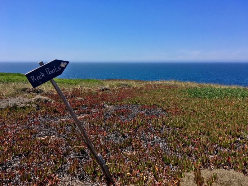 Hiking Tour Along the West Coastline - Itinerary Highlights