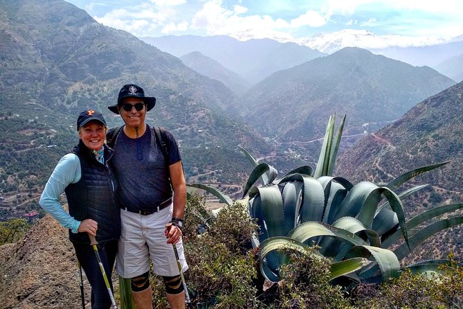 Hiking Tour in the Andes Mountains - Half Day Trip From Santiago - Key Points