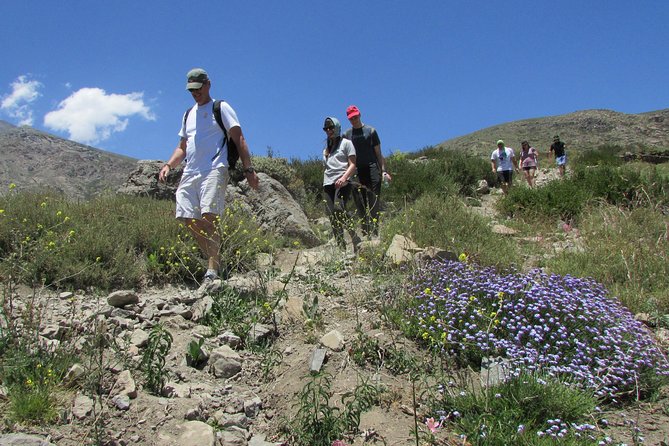 Hiking Tour in the Andes Mountains - Half Day Trip From Santiago - Accommodating Different Fitness Levels