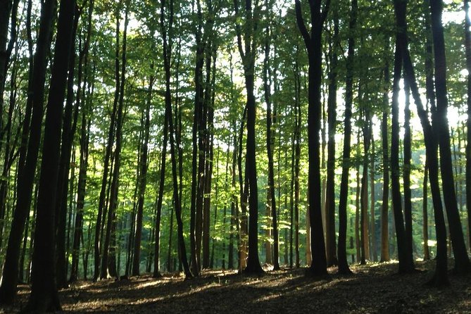 Hiking Tour in the Small Carpathians - in the Track of Forest People - Scenic Viewpoints Along the Way