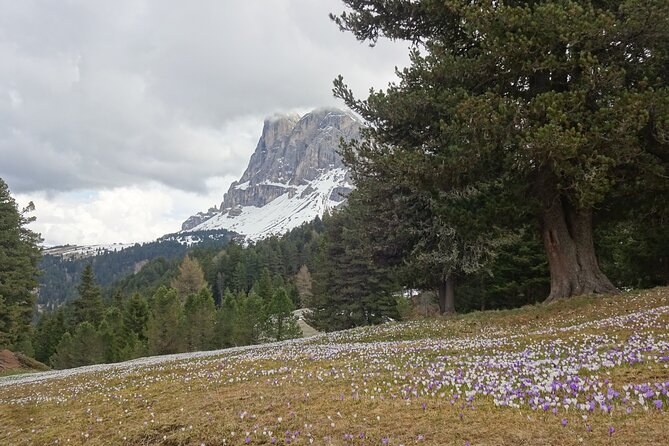 Hiking Tour in the World Natural Heritage Unesco Dolomites - Pickup Service
