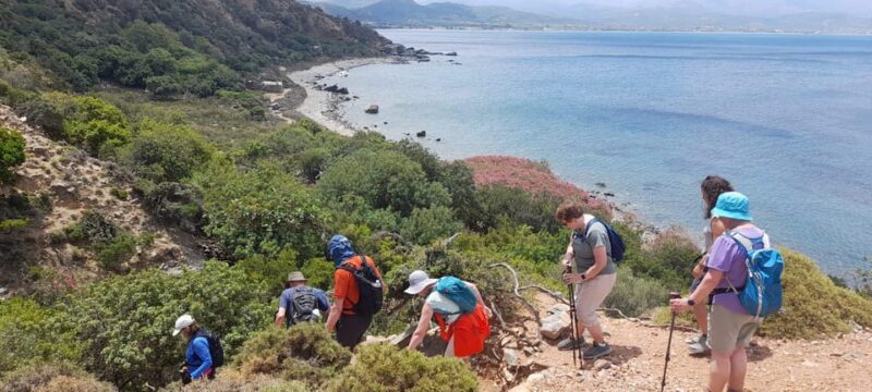Hiking Tour in Unspoilt Crete: Nopigia-Agios Vasilios - Booking Information