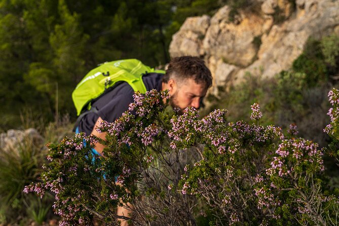 Hiking Tour Into the Sunset - Port Andratx to Sant Elm - About Your Stay