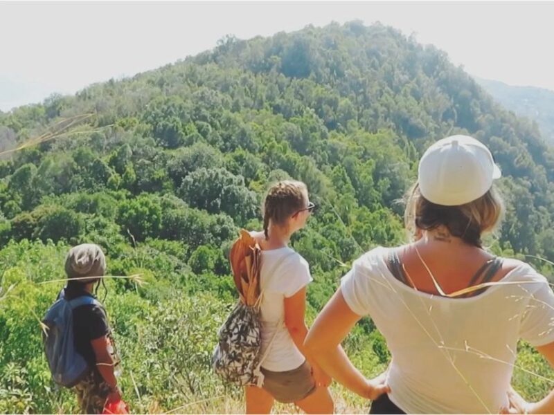 Hiking Tour Karimunjawa (Private Tour) - Tour Schedule