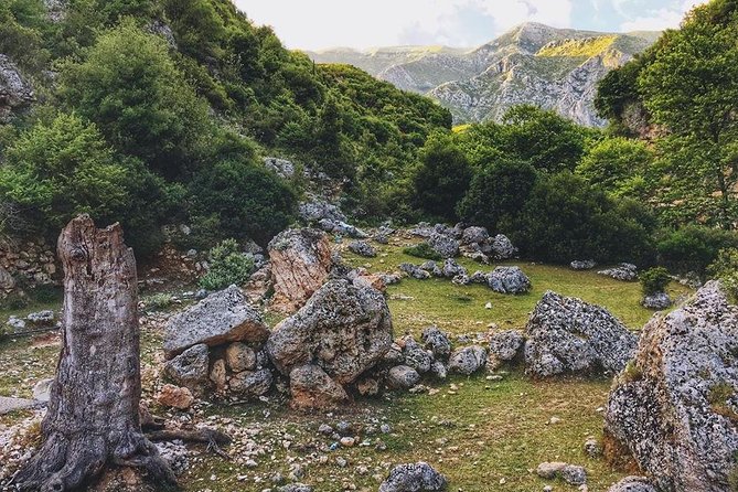 Hiking Tour of South Albania, Llogara Pass and Riviera in 3 Days - Pickup Locations