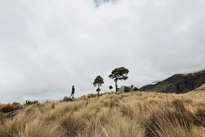 Hiking Tour on the Iztaccíhuatl Volcano from Puebla - The Sum Up