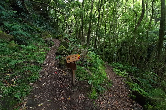 Hiking Tour Sanguinho Salto Do Prego Waterfall and Furnas - Accessibility and Fitness Level